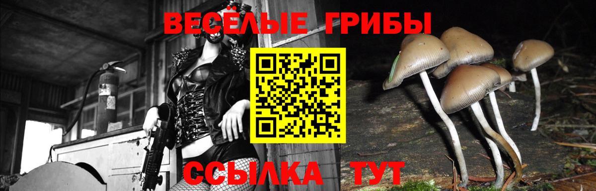 Галлюциногенные грибы мухоморы  где купить   Узловая  Вход с VPN 